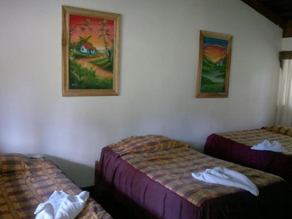 Hostel Villa Verde Монте-Верде Экстерьер фото
