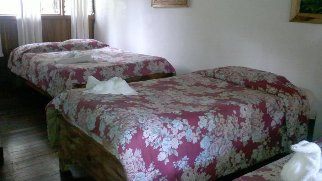 Hostel Villa Verde Монте-Верде Экстерьер фото