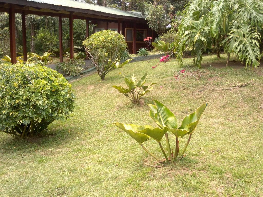 Hostel Villa Verde Монте-Верде Экстерьер фото